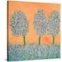Stretched Canvas