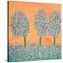 Stretched Canvas
