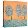 Stretched Canvas