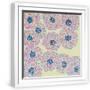 White Frame