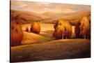 Stretched Canvas