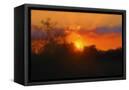 Canvas Black