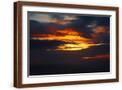 Brown Frame