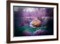 Brown Frame