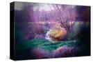 Stretched Canvas