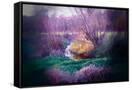 Canvas Black