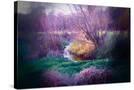 Stretched Canvas
