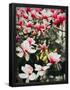 Essential Black