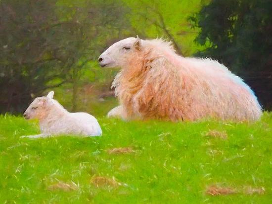 Giclee Print, , large