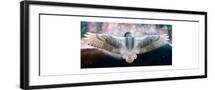Black Frame
