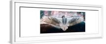 White Frame