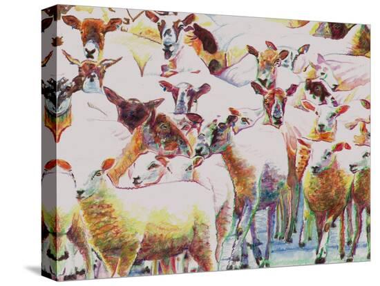 Stretched Canvas Print, , large