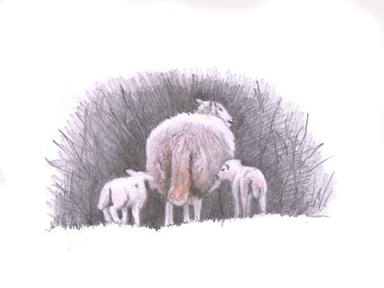 Giclee Print, , large