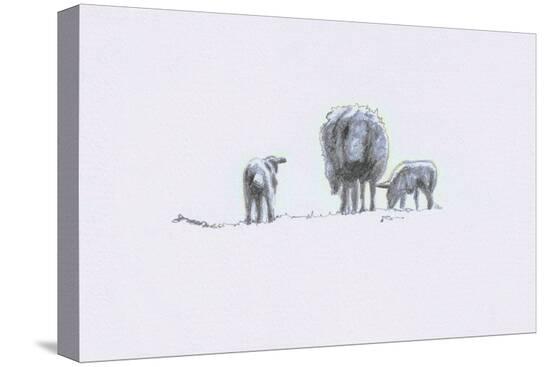 Stretched Canvas Print, , large