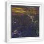 White Frame