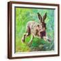 Brown Frame