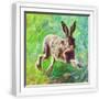 White Frame