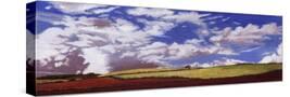 Stretched Canvas