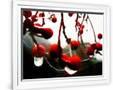 Gramercy White