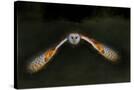 Stretched Canvas