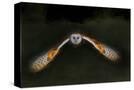 Stretched Canvas