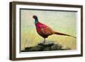 Brown Frame