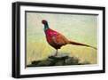 Black Frame