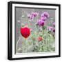 Black Frame