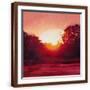 Brown Frame