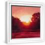 White Frame