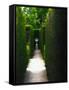 Canvas Black