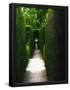 Essential Black