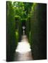 Stretched Canvas