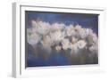 White Frame