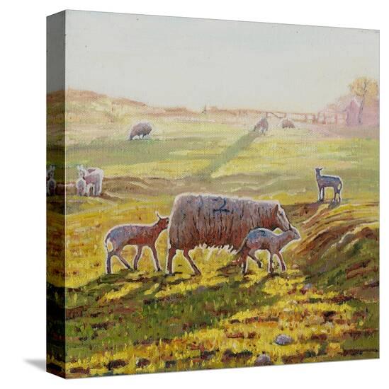 Stretched Canvas Print, , large