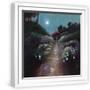 White Frame