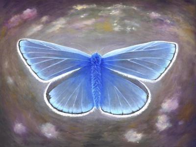 Uncommon blue, 2015, Giclee Print - Helen White | AllPosters.com
