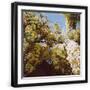 Black Frame