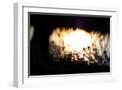 White Frame