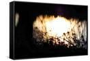 Canvas Black