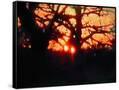Canvas Black