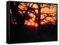 Canvas Black