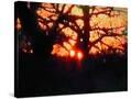 Stretched Canvas