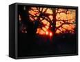 Canvas Black