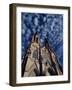 Helena Cathedral, Helena, Montana, United States of America, North America-Pottage Julian-Framed Photographic Print