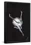 Essential Black