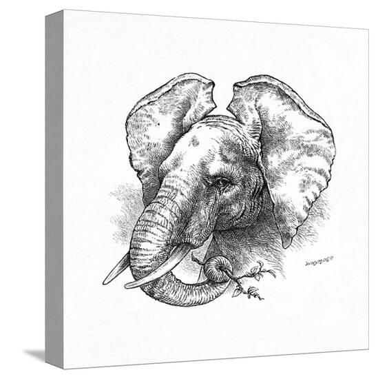 Stretched Canvas Print, , large