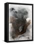 Framed Canvas