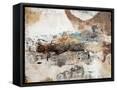 Framed Canvas