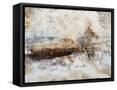 Framed Canvas